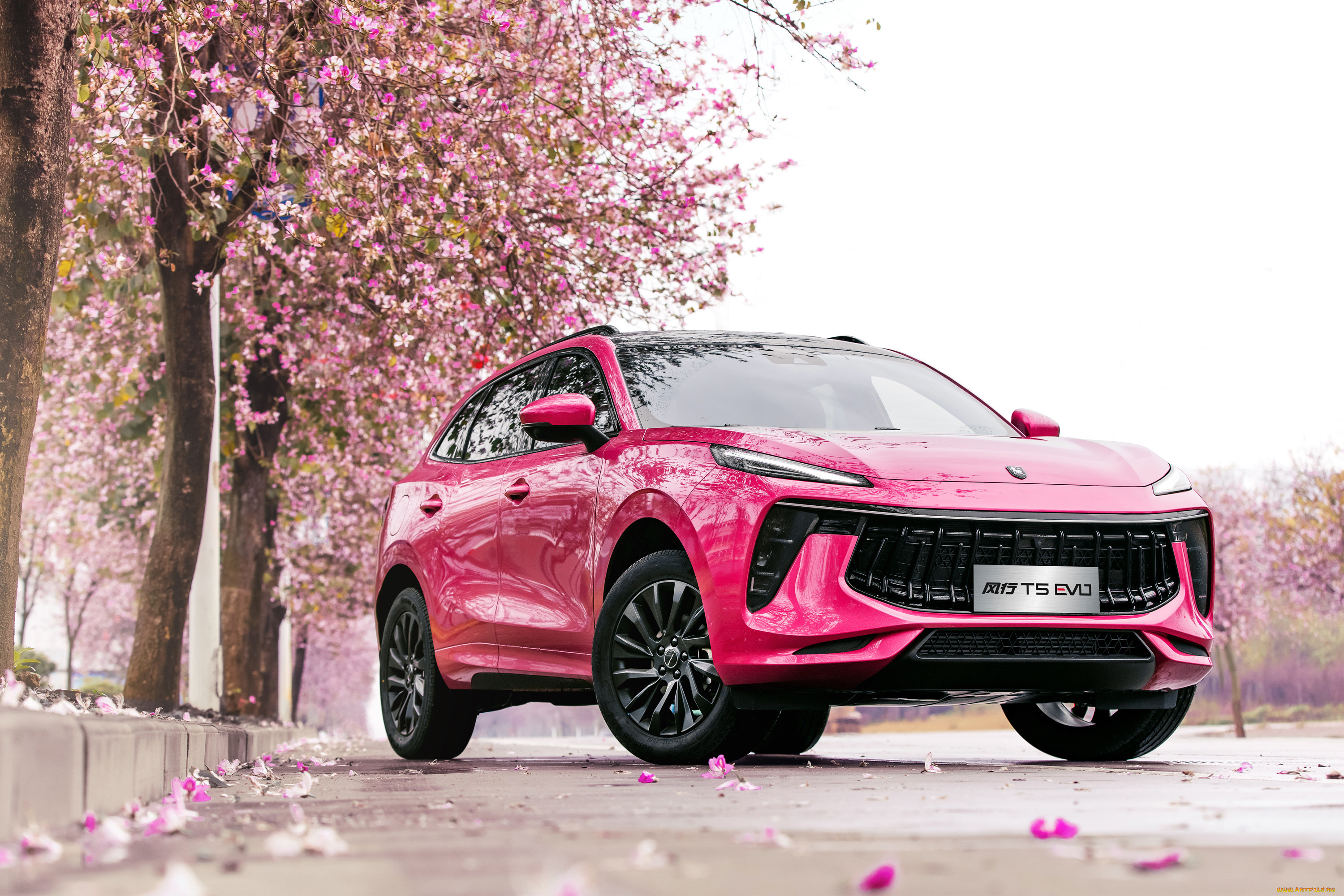 , dongfeng